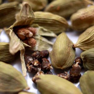 cardamom se