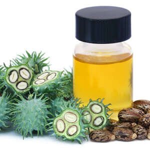 castor oil with dry and green beans over white background