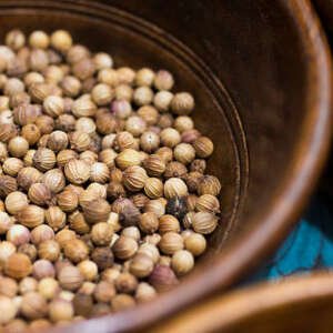 coriander
