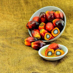 crude palm kernel oi