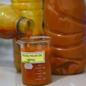 crude palm oil (cpo)