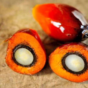 crude palm oil (cpo