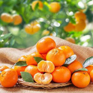 mandarins oranges