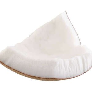 single piece of coconut isolated on white
