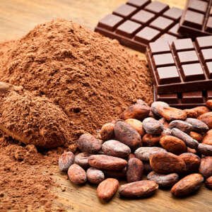 cocoa beans and cocoa powder with chocolate bars on wood table.
