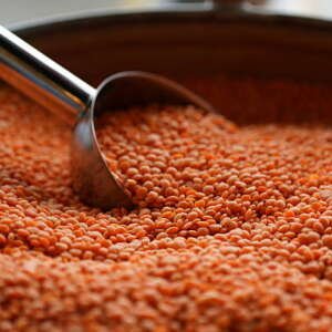 orange lentils in a display case for sale