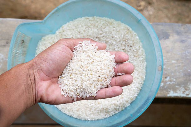 rice rice