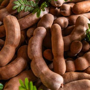 fresh tamarind fruit for sale at a market