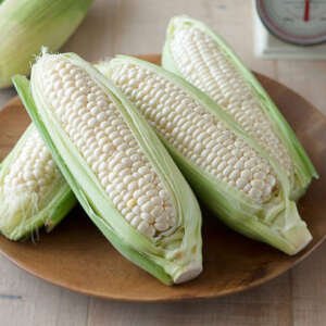 white corn see
