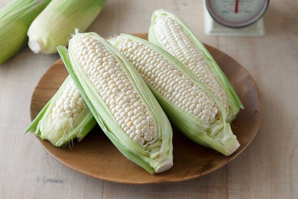 white corn see white corn see