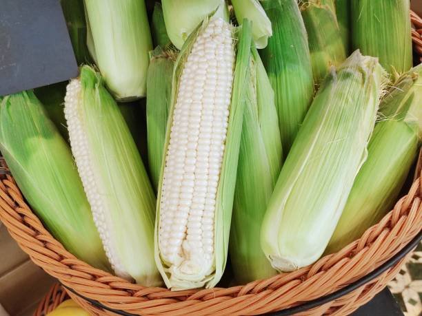 white corn white corn