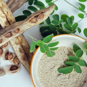 moringa se