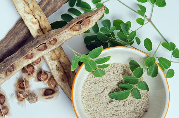 moringa se moringa se