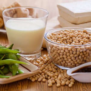 soy bean, tofu and other soy products