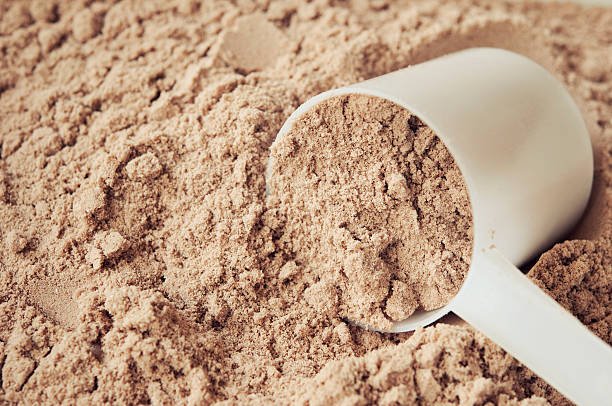 chocolate protein powder